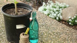 A container water can for your plants
