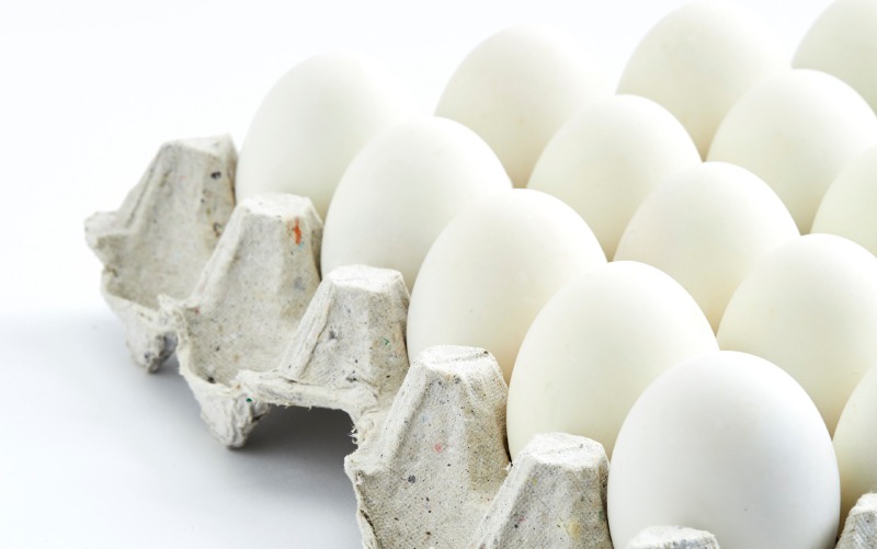 Fat Burning Foods