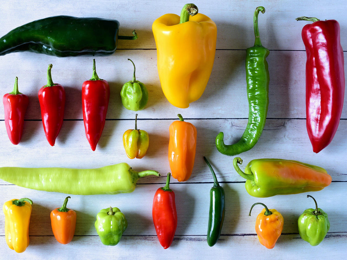Fat Burning Foods