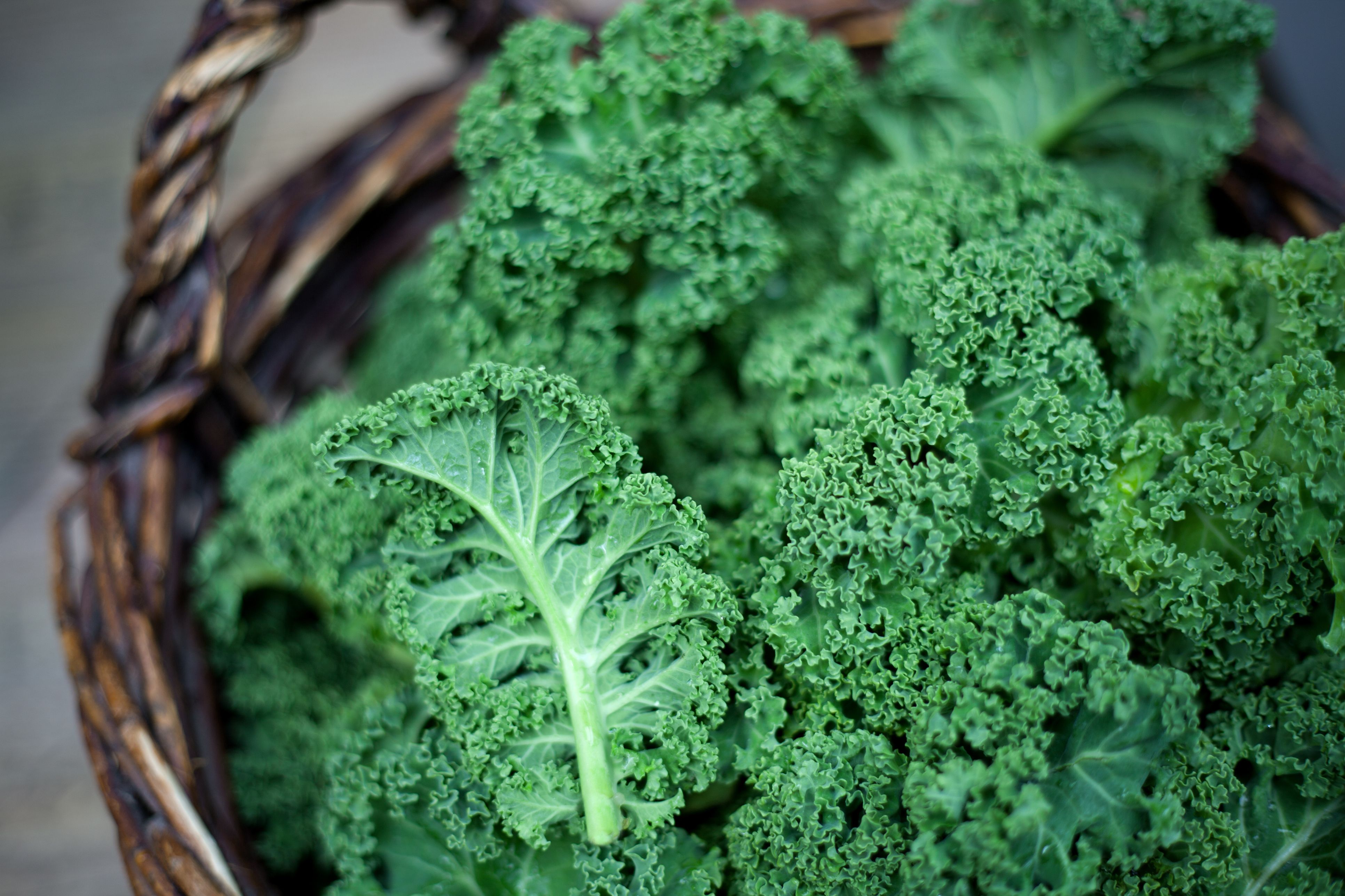 Fat Burning Foods