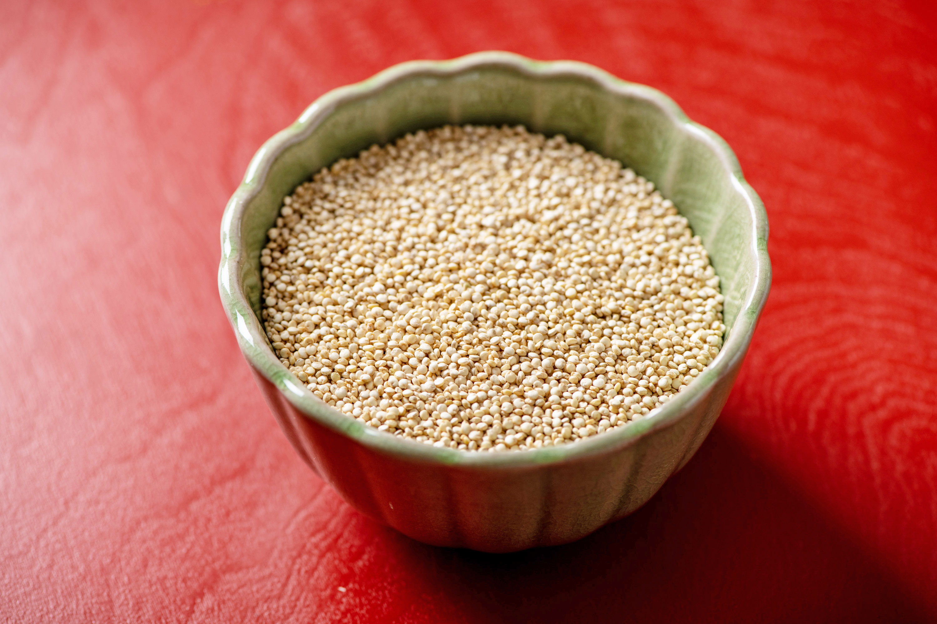 Fat Burning Foods